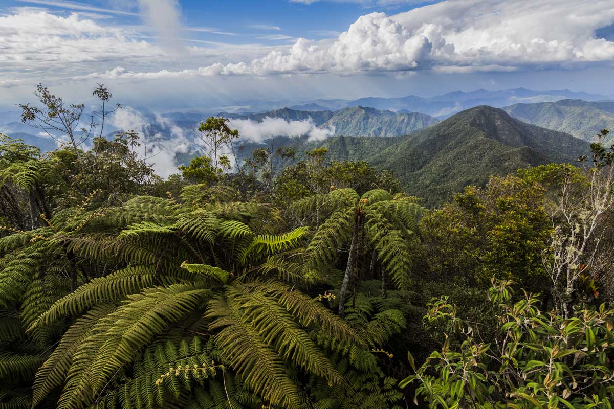 Mountain landscape in Sierra Maestra – Photo: Shutterstock